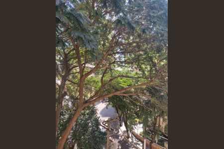Apartamento à venda com 76m², 3 quartos e 1 vaga