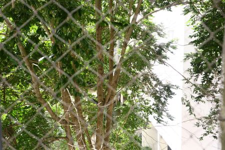 Apartamento à venda com 69m², 3 quartos e 1 vagaQuarto 1 Vista 