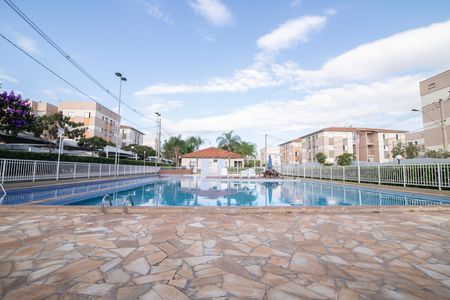 Apartamento para alugar com 78m², 2 quartos e 1 vaga Apartamento para alugar com 78m², 2 quartos e 1 vagaÁrea Comum - Piscina