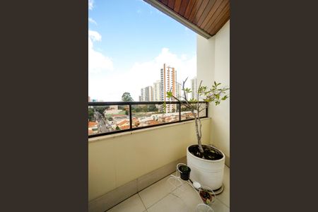 Apartamento à venda com 244m², 3 quartos e 3 vagasVaranda da cobertura