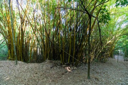 Apartamento à venda com 70m², 3 quartos e 1 vaga Apartamento à venda com 70m², 3 quartos e 1 vagaÁrea comum