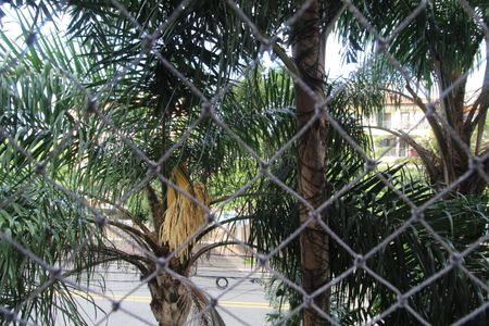 Apartamento à venda com 61m², 3 quartos e 1 vagaQuarto 2 - Vista