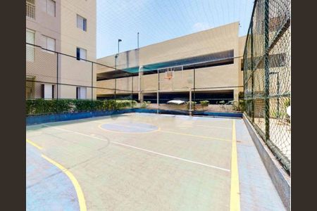 Apartamento à venda com 3 quartos, 65m² em Cambuci, São Paulo