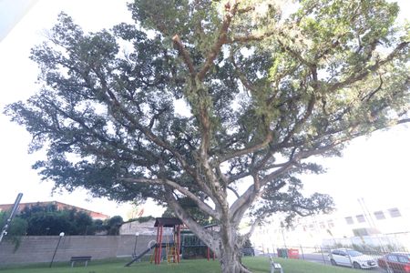 Apartamento à venda com 54m², 2 quartos e 1 vagaÁrea comum