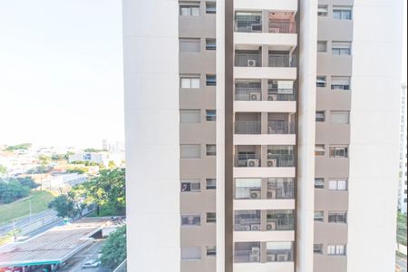 Apartamento à venda com 227m², 3 quartos e 4 vagasVista da Varanda 2 da Sala