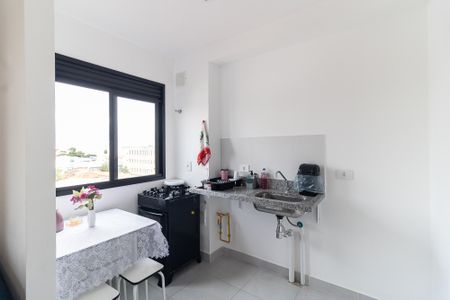 Apartamento para alugar com 26m², 1 quarto e sem vagaCozinha