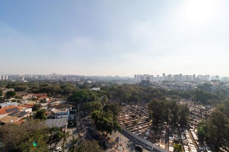 Apartamento para alugar com 40m², 2 quartos e sem vagaVista da Varanda