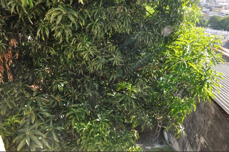 Casa à venda com 200m², 5 quartos e 1 vaga Casa à venda com 200m², 5 quartos e 1 vagaVista do Quarto 02