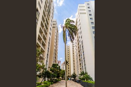 Apartamento à venda com 54m², 2 quartos e 1 vaga Apartamento à venda com 54m², 2 quartos e 1 vagaÁrea comum - Área Externa