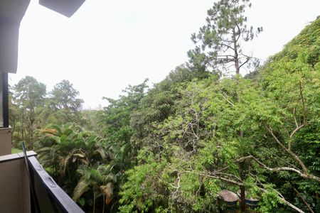 Apartamento para alugar com 147m², 3 quartos e 2 vagasVista