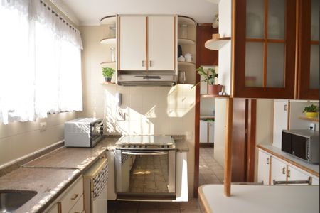 Apartamento à venda com 170m², 3 quartos e 2 vagasCozinha