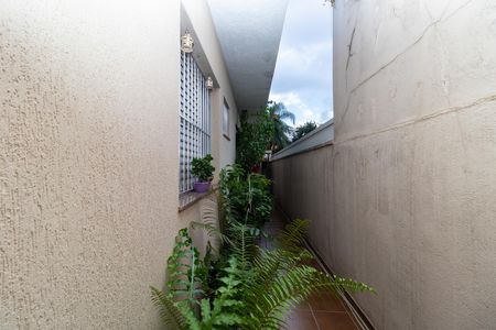 Casa à venda com 233m², 5 quartos e 6 vagasAcesso lateral / Corredor externo