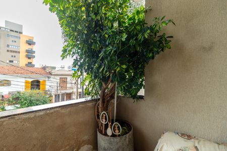 Casa à venda com 233m², 5 quartos e 6 vagasSacada da Sala