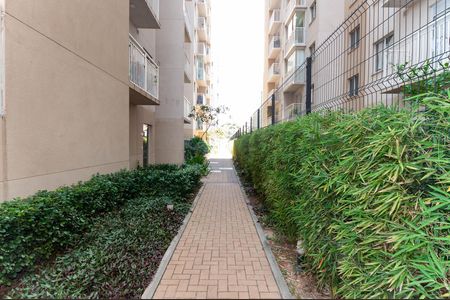 Apartamento para alugar com 36m², 2 quartos e 1 vagaÁrea Comum - Páteo