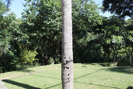 Apartamento para alugar com 45m², 2 quartos e 1 vagaÁrea comum 