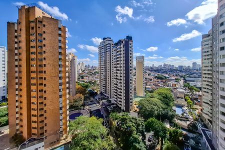 Apartamento para alugar com 100m², 3 quartos e 2 vagasVista  Varanda da Sala