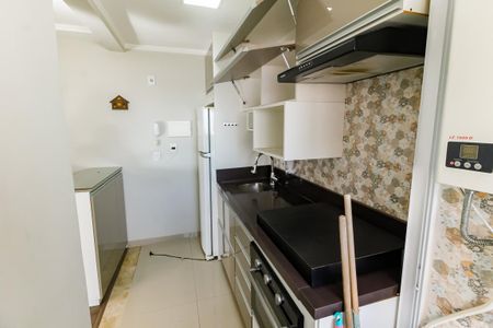 Apartamento à venda com 57m², 2 quartos e 1 vagaCozinha - Armários