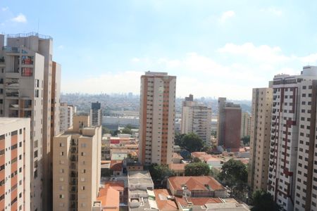 Apartamento à venda com 255m², 4 quartos e 3 vagasVista