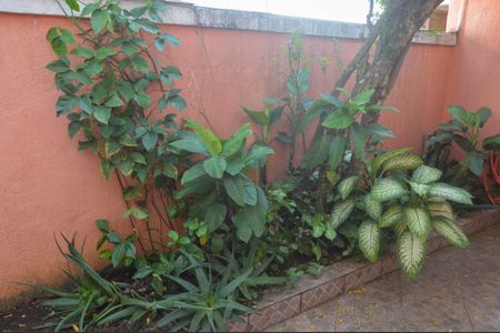 Casa à venda com 360m², 3 quartos e 5 vagasÁrea Externa