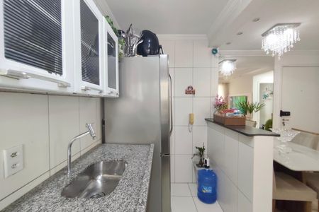 Apartamento à venda com 52m², 2 quartos e 1 vagaCozinha
