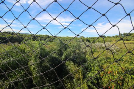 Apartamento à venda com 55m², 2 quartos e 1 vagaVista do Quarto 2