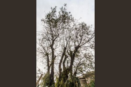 Casa à venda com 294m², 3 quartos e 2 vagasÁrea comum 