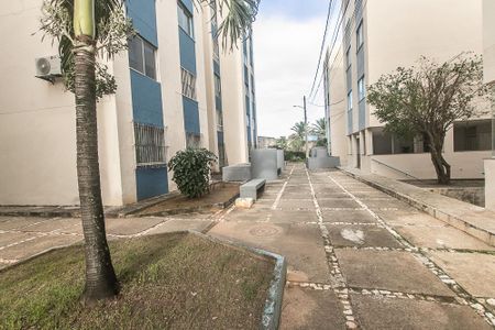 Apartamento para alugar com 60m², 3 quartos e 1 vagaÁrea comum