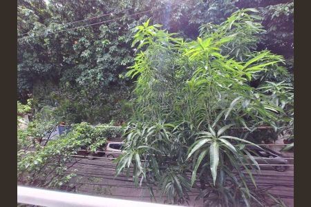 Apartamento à venda com 78m², 3 quartos e sem vaga