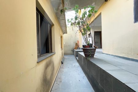 Casa à venda com 300m², 4 quartos e 4 vagasQuintal