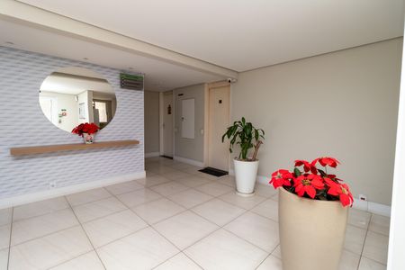 Apartamento à venda com 50m², 2 quartos e 1 vagaÁrea Comum - Hall