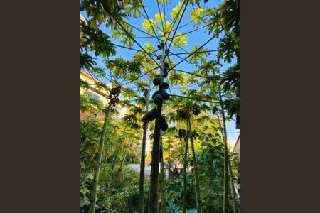 Casa à venda com 171m², 5 quartos e 3 vagas Casa à venda com 171m², 5 quartos e 3 vagasFoto 51