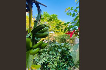 Casa à venda com 171m², 5 quartos e 3 vagas Casa à venda com 171m², 5 quartos e 3 vagasFoto 34