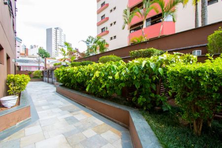 Apartamento para alugar com 200m², 3 quartos e 2 vagasÁrea comum