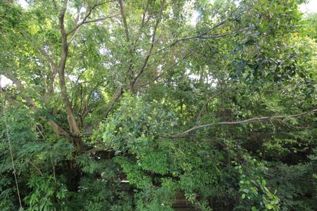 Apartamento à venda com 47m², 2 quartos e 1 vagaQuarto 2 - Vista