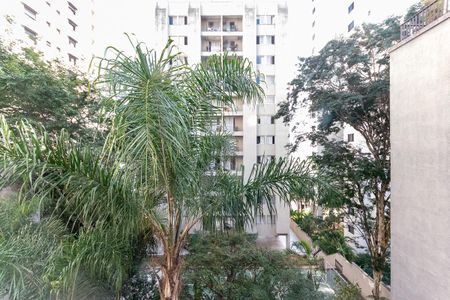 Vista de apartamento para alugar com 1 quarto, 42m² em Perdizes, São Paulo