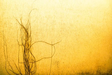 Apartamento para alugar com 600m², 4 quartos e 4 vagasVista do Quarto 1