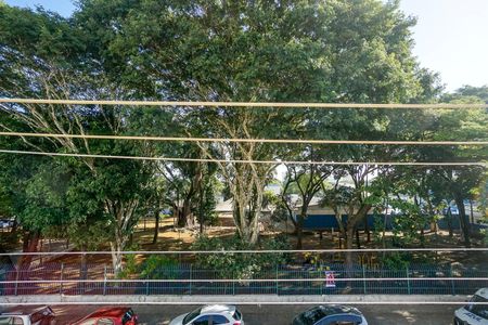 Apartamento para alugar com 600m², 4 quartos e 4 vagasVista do terraço