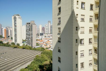 Apartamento à venda com 185m², 4 quartos e 4 vagasVista da suíte 03