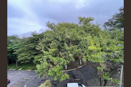 Casa à venda com 416m², 3 quartos e 6 vagasVista