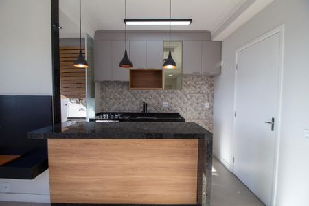 Apartamento para alugar com 48m², 2 quartos e 1 vagaCozinha