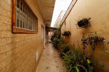 Casa à venda com 350m², 3 quartos e 6 vagasÁrea externa