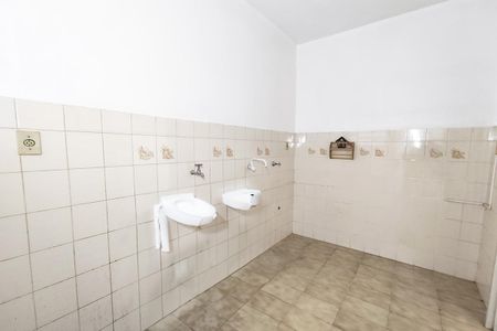 Apartamento para alugar com 60m², 2 quartos e sem vagaCozinha 
