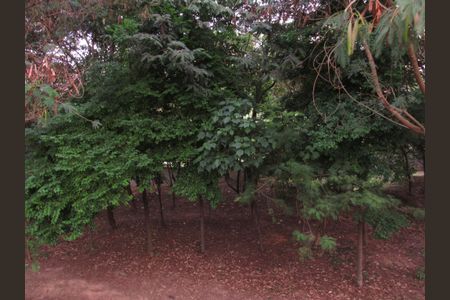 Apartamento à venda com 76m², 3 quartos e 1 vagaÁrea comum