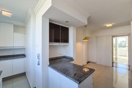 Apartamento para alugar com 175m², 4 quartos e 2 vagasCozinha - Armários