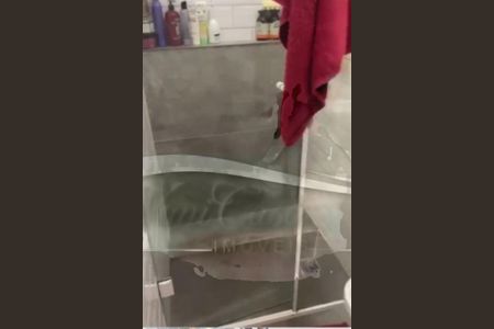 Apartamento à venda com 1 quarto, 38m² em Jabaquara, São Paulo