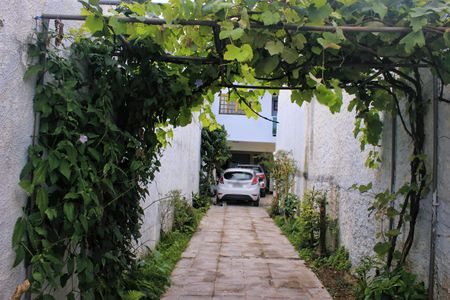 Casa à venda com 315m², 4 quartos e 6 vagasGaragem com árvores frutíferas