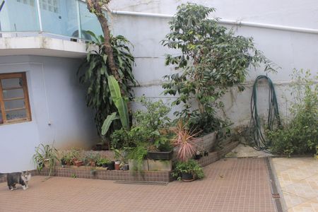 Casa à venda com 315m², 4 quartos e 6 vagasQuintal com piscina