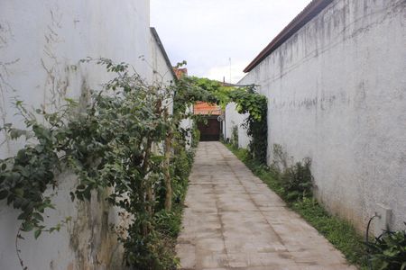 Casa à venda com 315m², 4 quartos e 6 vagasGaragem com árvores frutíferas