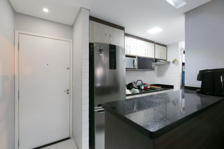 Apartamento para alugar com 50m², 2 quartos e 1 vagaCozinha - Armários