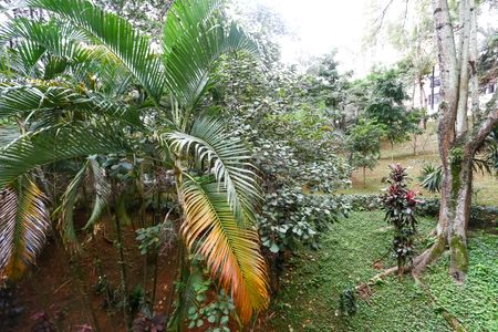 Apartamento para alugar com 52m², 2 quartos e 1 vaga Apartamento para alugar com 52m², 2 quartos e 1 vagaQuarto 2 vista